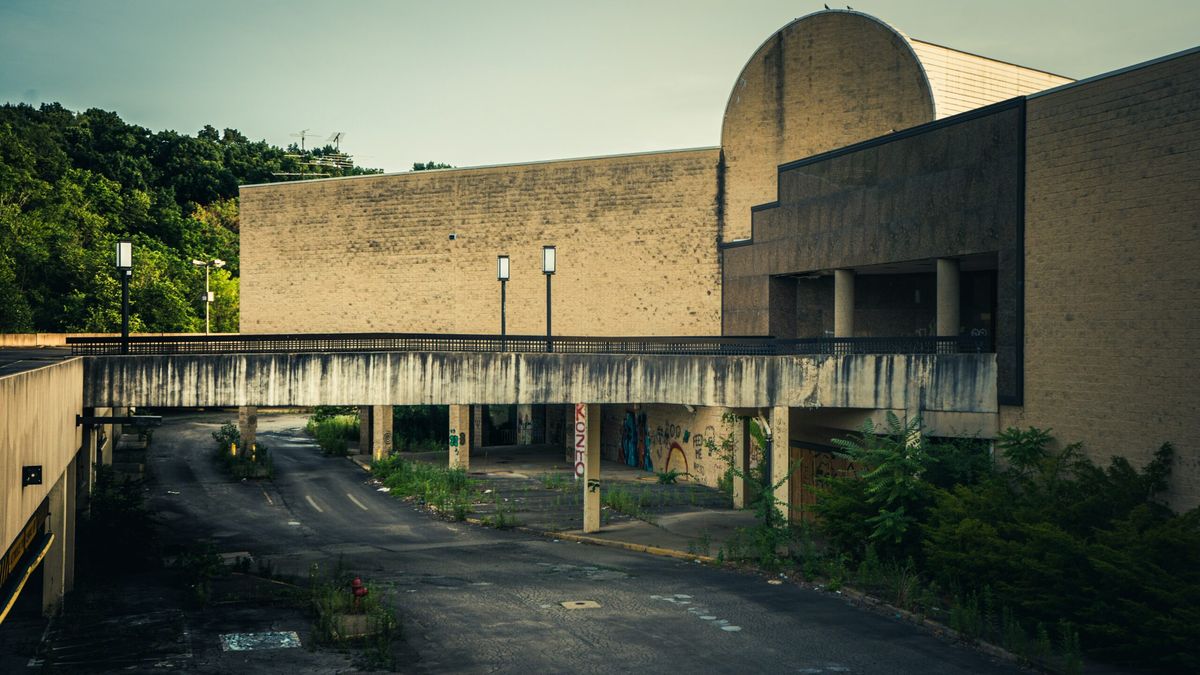 The Practicality of Turning an Abandoned Mall into a Cooperative Flea Market